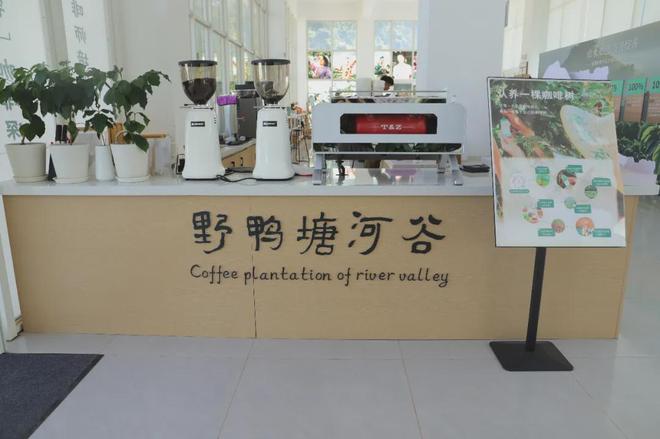 中国咖啡”：从日常饮品到文化新符号CQ9电子平台网站拼多多上的 “(图6)