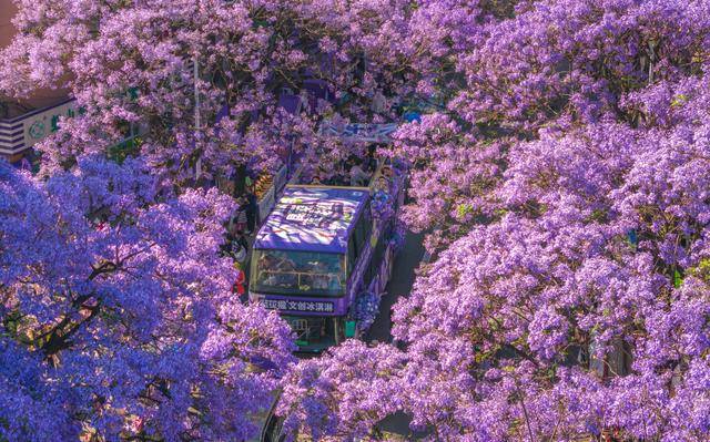 优服务繁荣文旅市场CQ9电子游戏以更(图5)